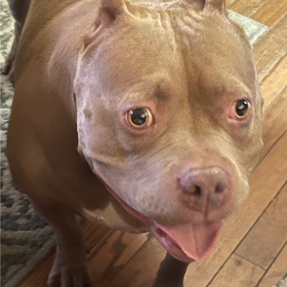 msjennany
